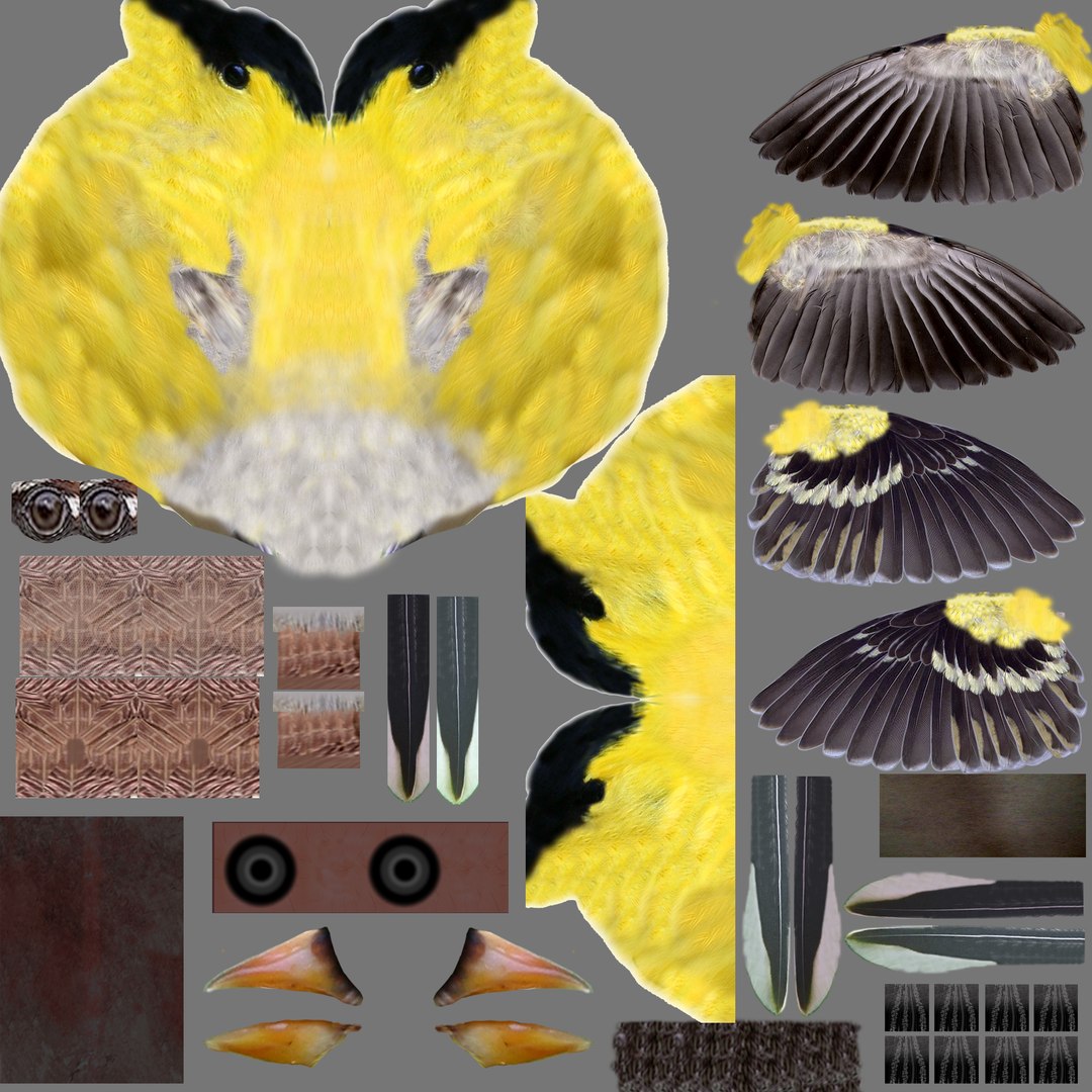 lwo goldfinch rigged animation https://p.turbosquid.com/ts-thumb/cj/VrGkgG/IBDFV474/gfinchuvmap04/jpg/1347248960/1920x1080/fit_q87/63c2108765e21813ddabad919cd9b4e99bda21b8/gfinchuvmap04.jpg