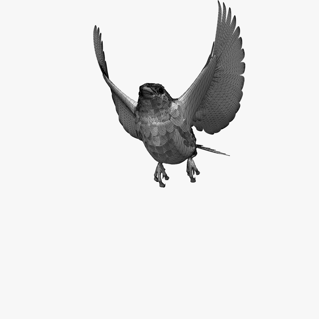 lwo goldfinch rigged animation https://p.turbosquid.com/ts-thumb/cj/VrGkgG/U0hWeUJN/gfinchlandgrey/jpg/1347330955/1920x1080/turn_fit_q99/2bdfd71f4e051f323d0f0b7d65fdc8a34cbd7467/gfinchlandgrey-1.jpg