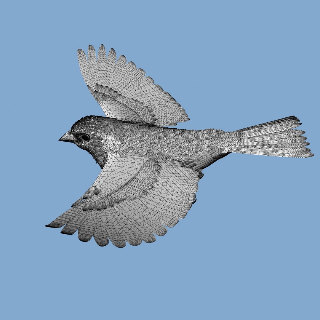 lwo goldfinch rigged animation https://p.turbosquid.com/ts-thumb/cj/VrGkgG/dIIey6lS/wireframe203/jpg/1347471253/1920x1080/fit_q87/cdf231ed425bb5f81889529a33f089d9a97ef54b/wireframe203.jpg