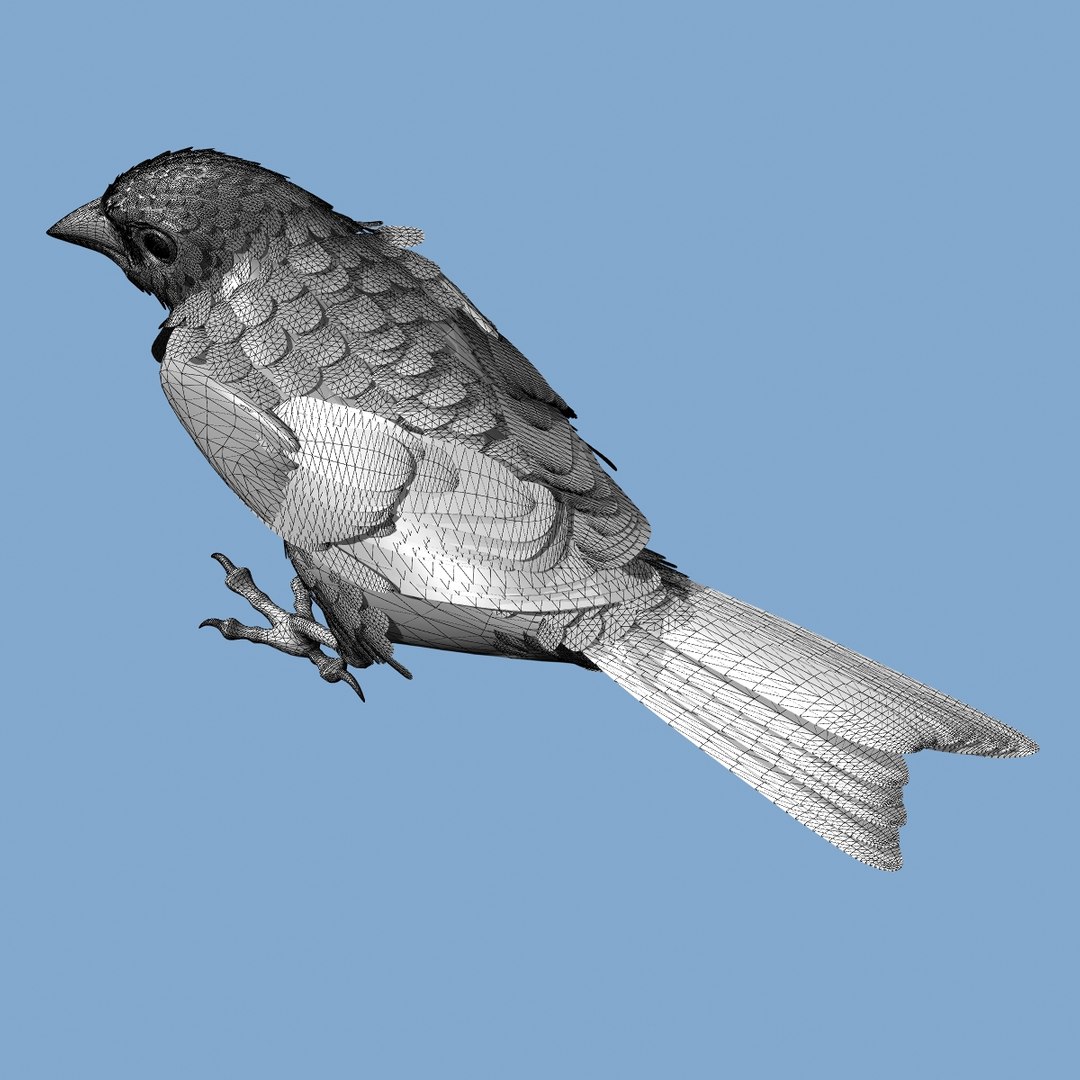 lwo goldfinch rigged animation https://p.turbosquid.com/ts-thumb/cj/VrGkgG/jXMriTud/wireframe208/jpg/1347471253/1920x1080/fit_q87/e1431db241883234cdaf2bf833b36536eacd1f09/wireframe208.jpg