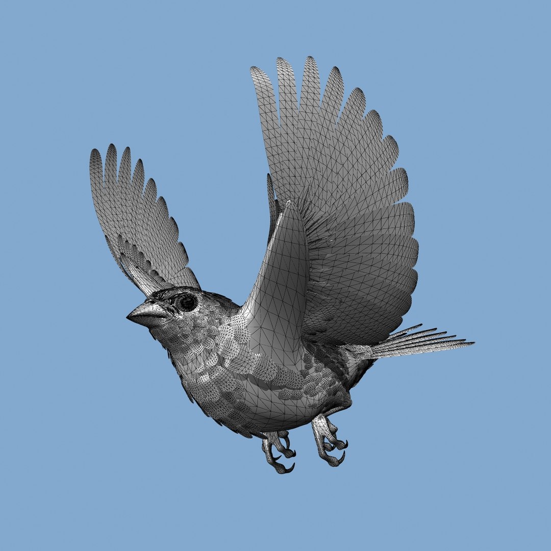 lwo goldfinch rigged animation https://p.turbosquid.com/ts-thumb/cj/VrGkgG/kf2OSm7f/wireframe2/jpg/1347471253/1920x1080/fit_q87/d3f33f53d328a12f6214b6a61eed41df4e2fa540/wireframe2.jpg