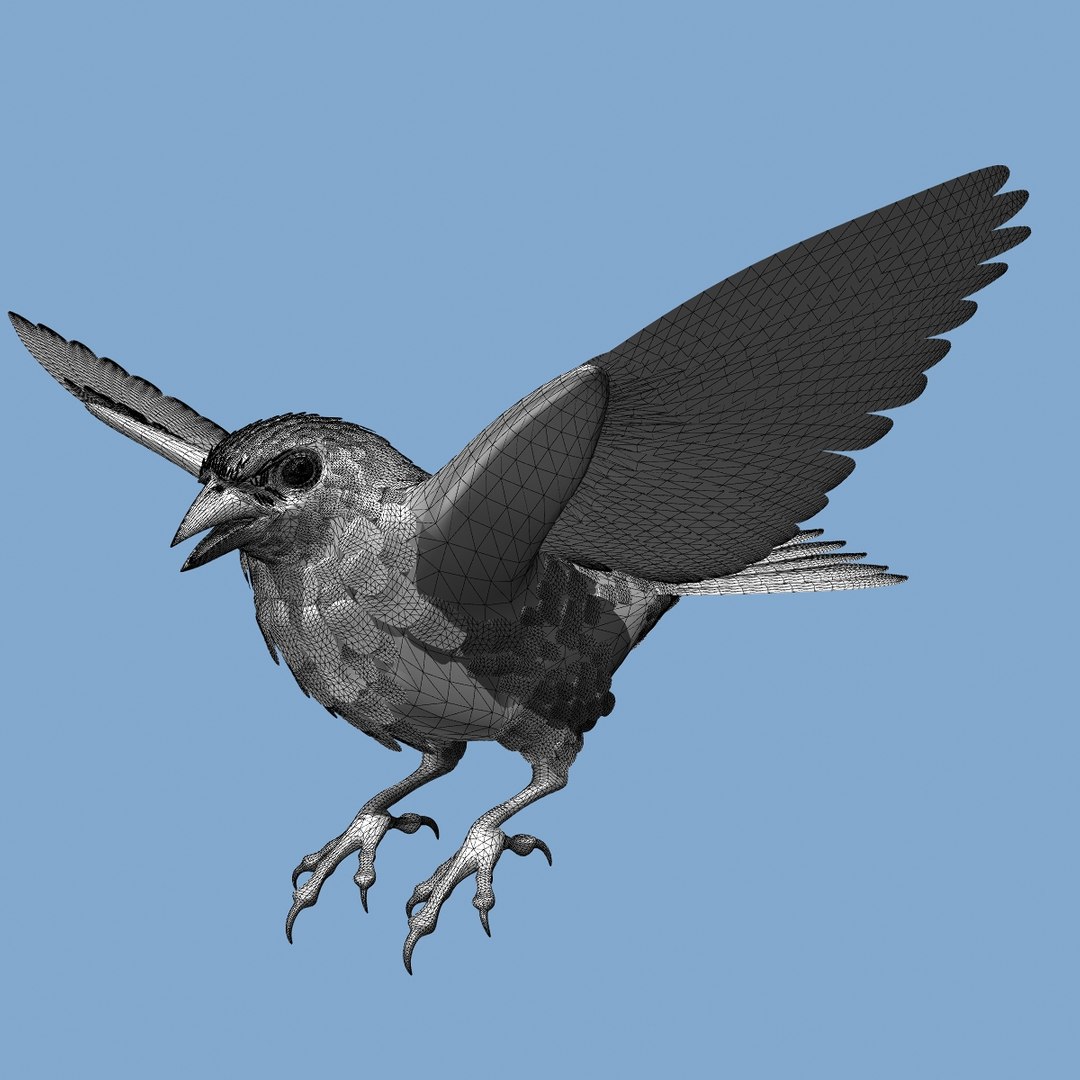 lwo goldfinch rigged animation https://p.turbosquid.com/ts-thumb/cj/VrGkgG/mW6b4eoN/wireframe205/jpg/1347471253/1920x1080/fit_q87/ef458b868bc3949f76585b14d5894b8713badda4/wireframe205.jpg