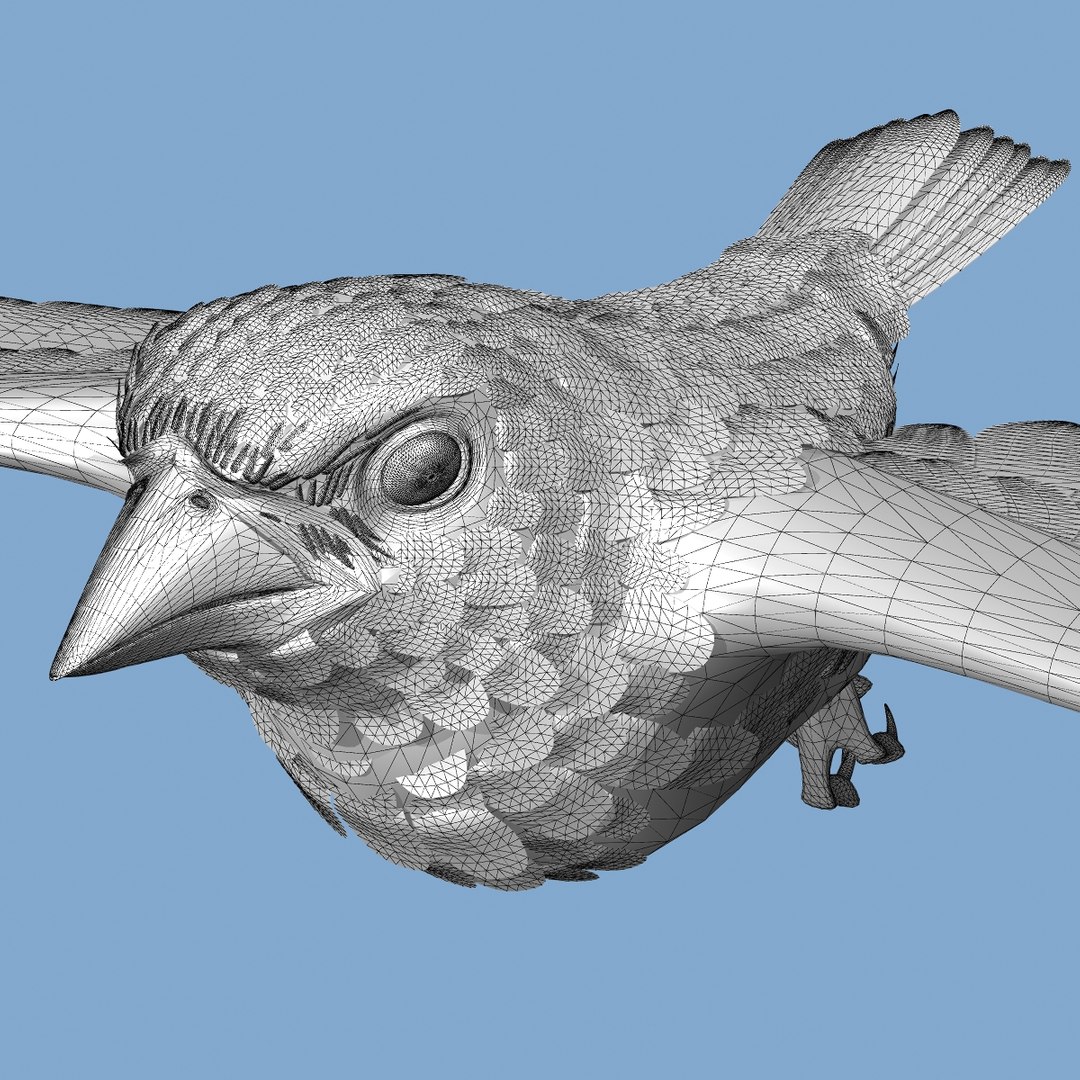 lwo goldfinch rigged animation https://p.turbosquid.com/ts-thumb/cj/VrGkgG/pkaTw2uU/wireframe204/jpg/1347471253/1920x1080/fit_q87/2df9179e8281da9183cef4537964a47a8eb0de13/wireframe204.jpg