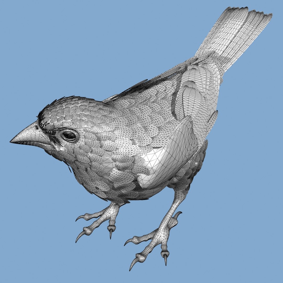 lwo goldfinch rigged animation https://p.turbosquid.com/ts-thumb/cj/VrGkgG/w5zf8dP0/wireframe207/jpg/1347471253/1920x1080/fit_q87/2c288b78550cc58be638ed2147bcec57ea406ca7/wireframe207.jpg