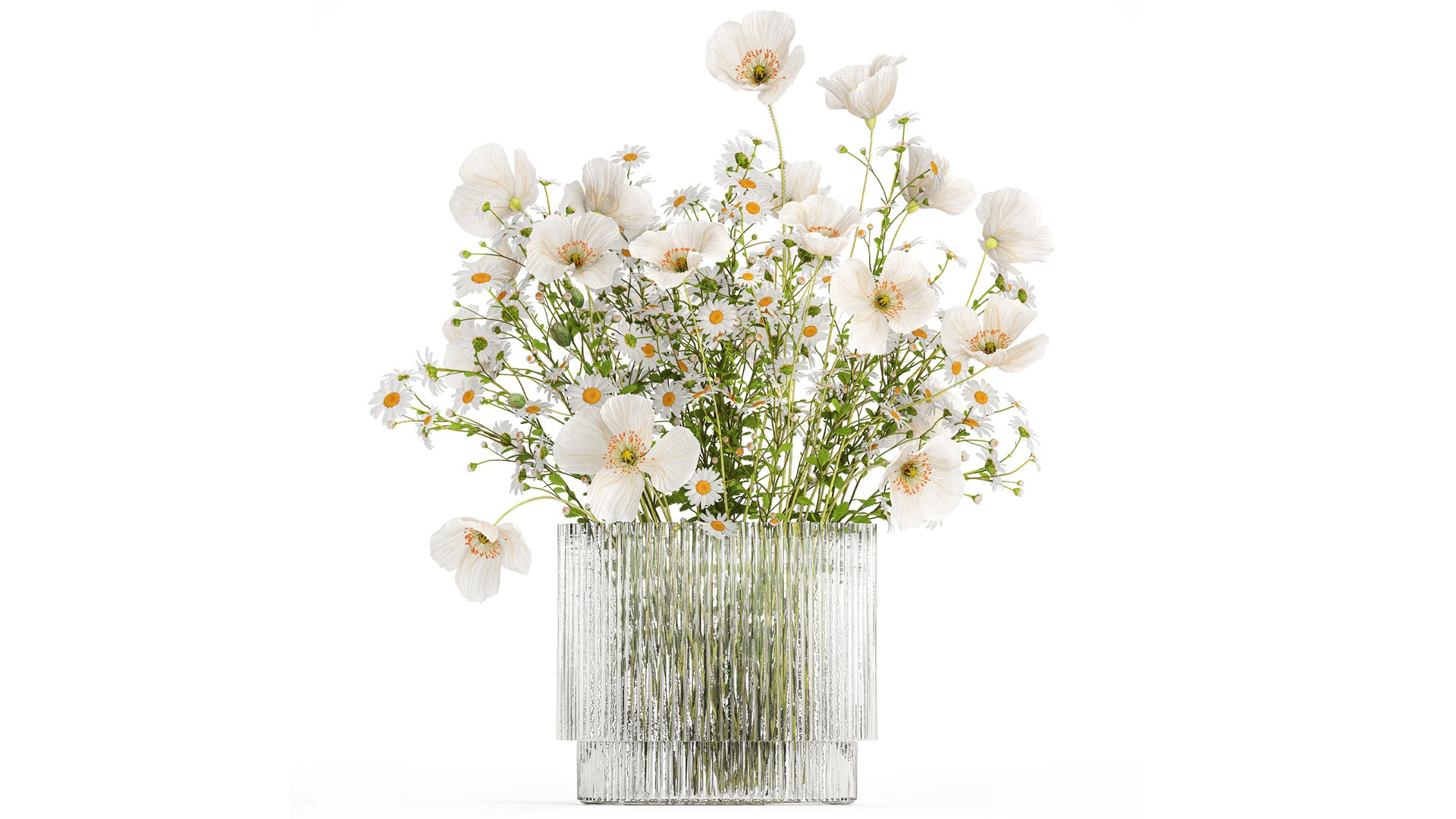 3D Bouquet of white wildflowers Poppy daisy in a vase 432 model https://p.turbosquid.com/ts-thumb/cj/ktyG17/Rs/1bouquet05052403/jpg/1715166677/1920x1080/fit_q87/a3617e9e1ac3b2251cbd53dc8d05356d8d21d479/1bouquet05052403.jpg