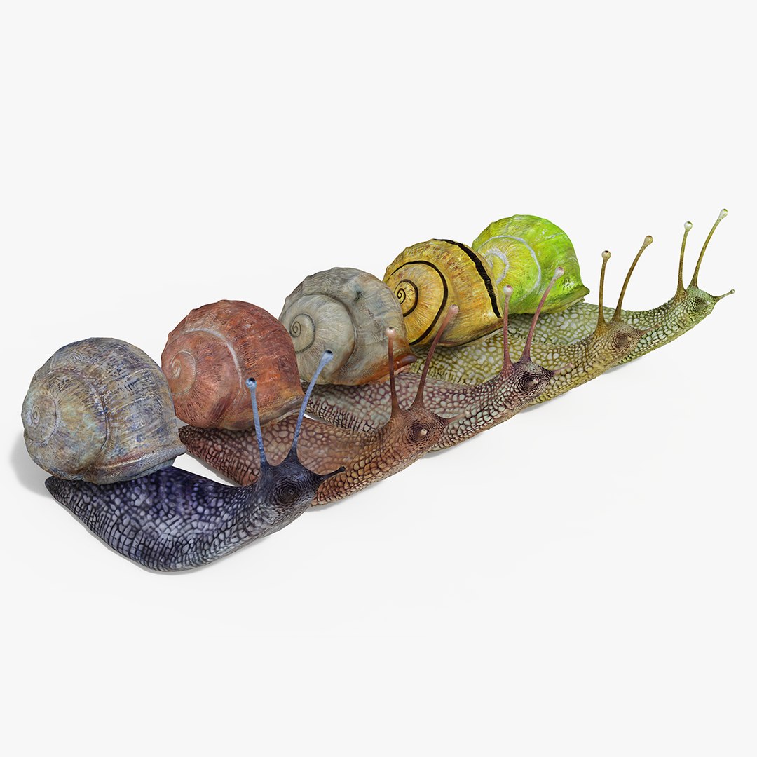 3D model snail https://p.turbosquid.com/ts-thumb/cj/vVqd3S/27/_007/png/1643094406/1920x1080/fit_q87/3f66fc4acf8cb3123675c6d1edcb1f170f1196df/_007.jpg