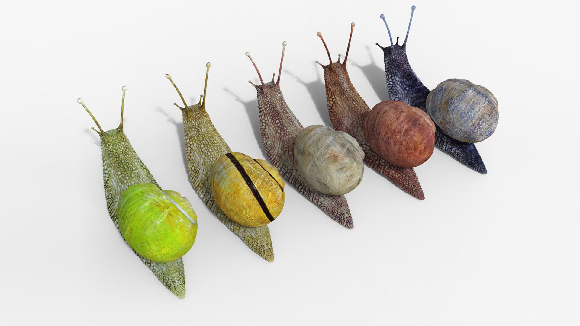3D model snail https://p.turbosquid.com/ts-thumb/cj/vVqd3S/Jf/23/png/1643094450/1920x1080/fit_q87/40b9355d798ba23d697fbb7efa1d19fc2ff75ae2/23.jpg