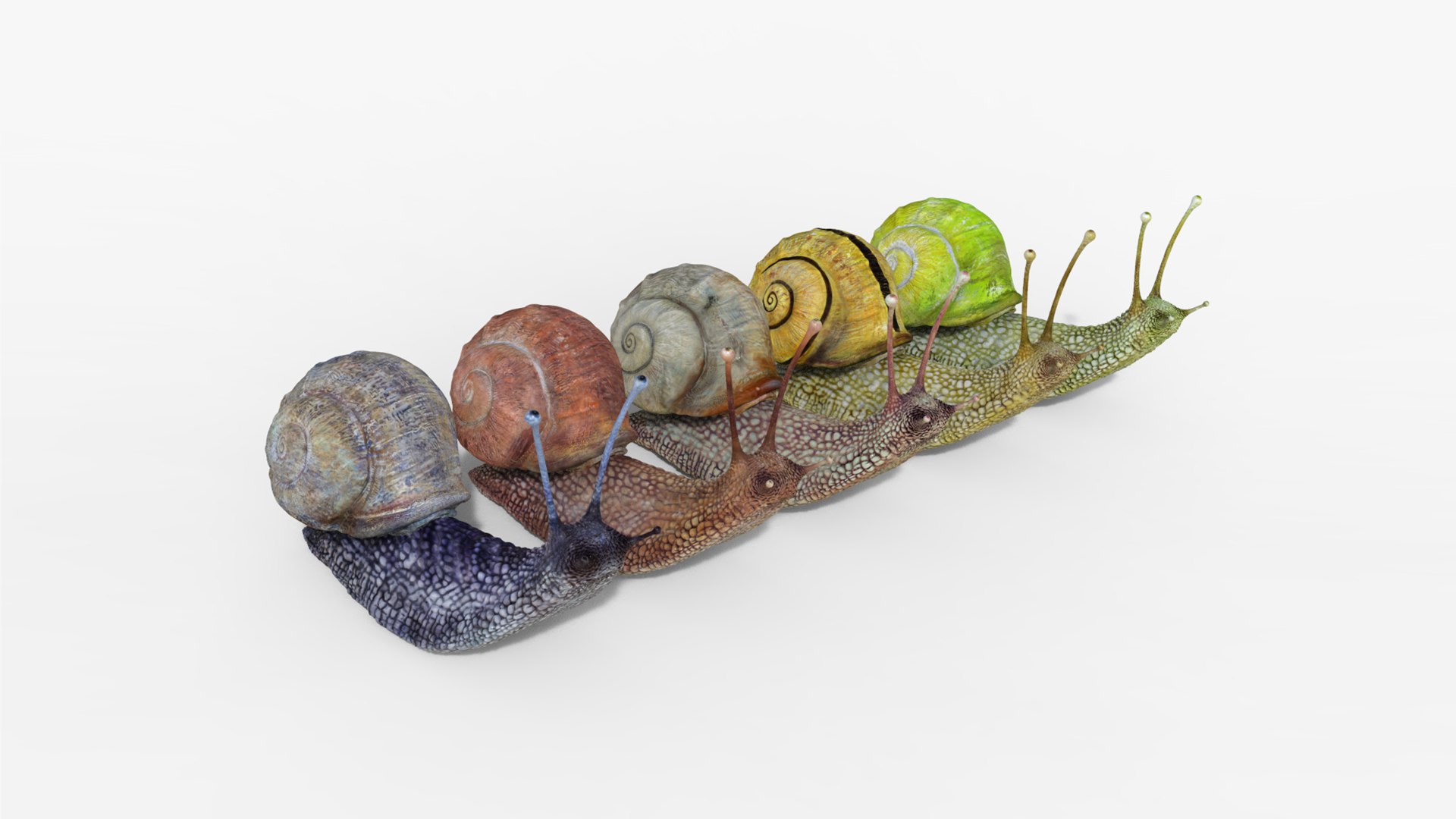 3D model snail https://p.turbosquid.com/ts-thumb/cj/vVqd3S/ZH/21/png/1643094417/1920x1080/fit_q87/d80d63ebe305a2677d27a429349ab99ded80b710/21.jpg