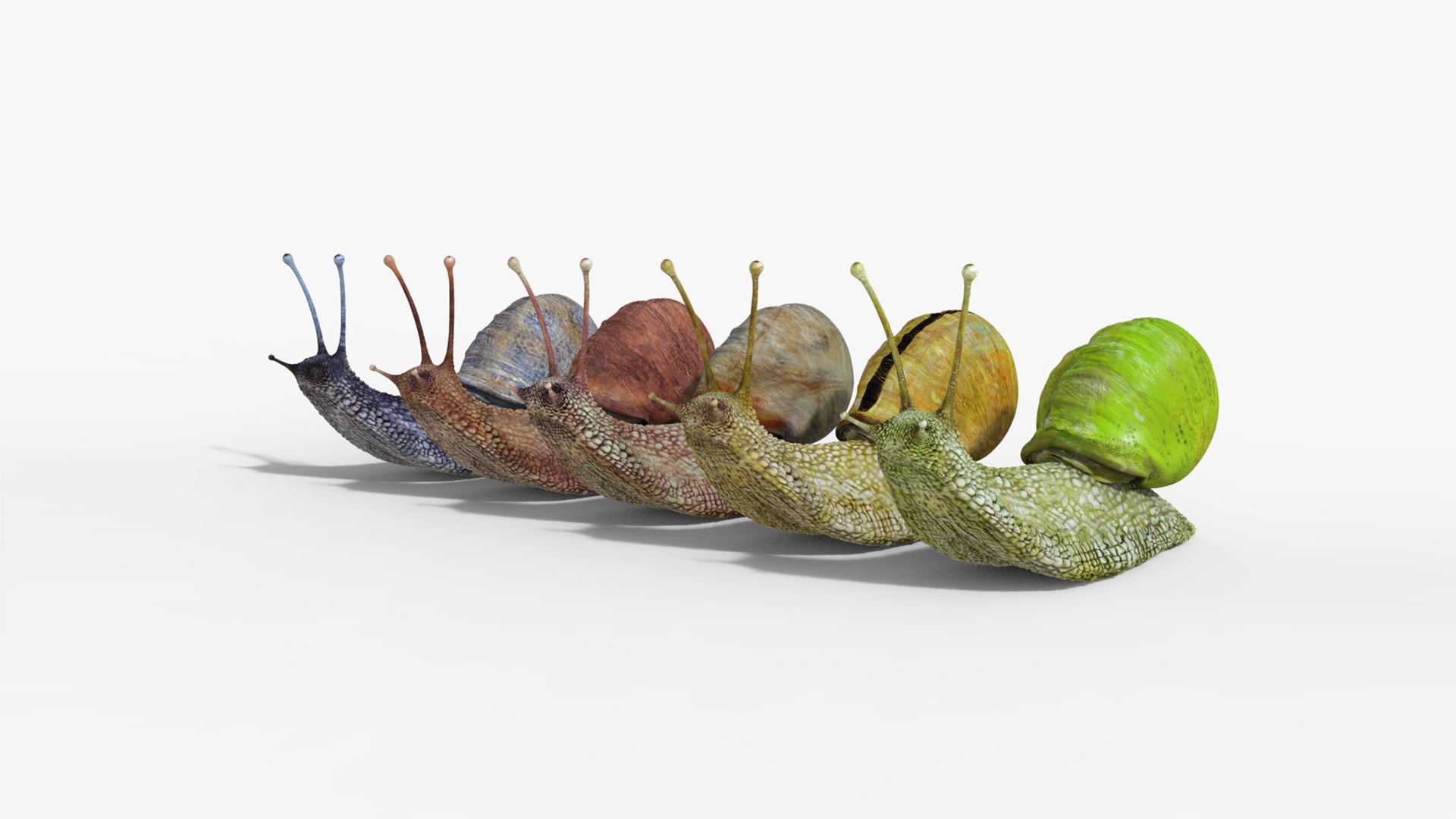 3D model snail https://p.turbosquid.com/ts-thumb/cj/vVqd3S/of/22/png/1643094418/1920x1080/fit_q87/aeff9ee9c208bfe56150ebdeda40b59ad34ac427/22.jpg