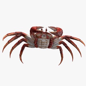 crab 3ds