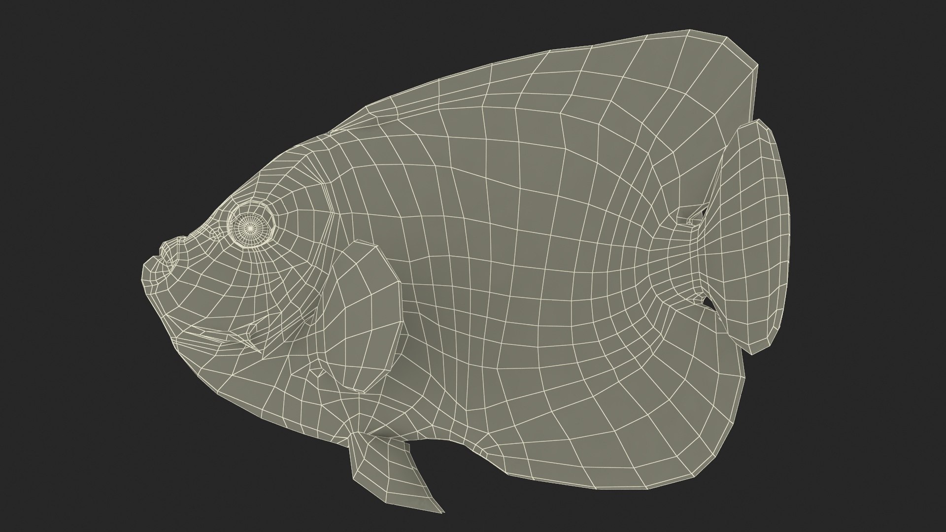 3D Pomacanthus Imperator Fish https://p.turbosquid.com/ts-thumb/ck/9Dfgde/E8/pomacanthusimperatorfishmb3dmodel026/jpg/1722509128/1920x1080/fit_q87/eb889b387acb219102ee1f09fd76981ea1723106/pomacanthusimperatorfishmb3dmodel026.jpg