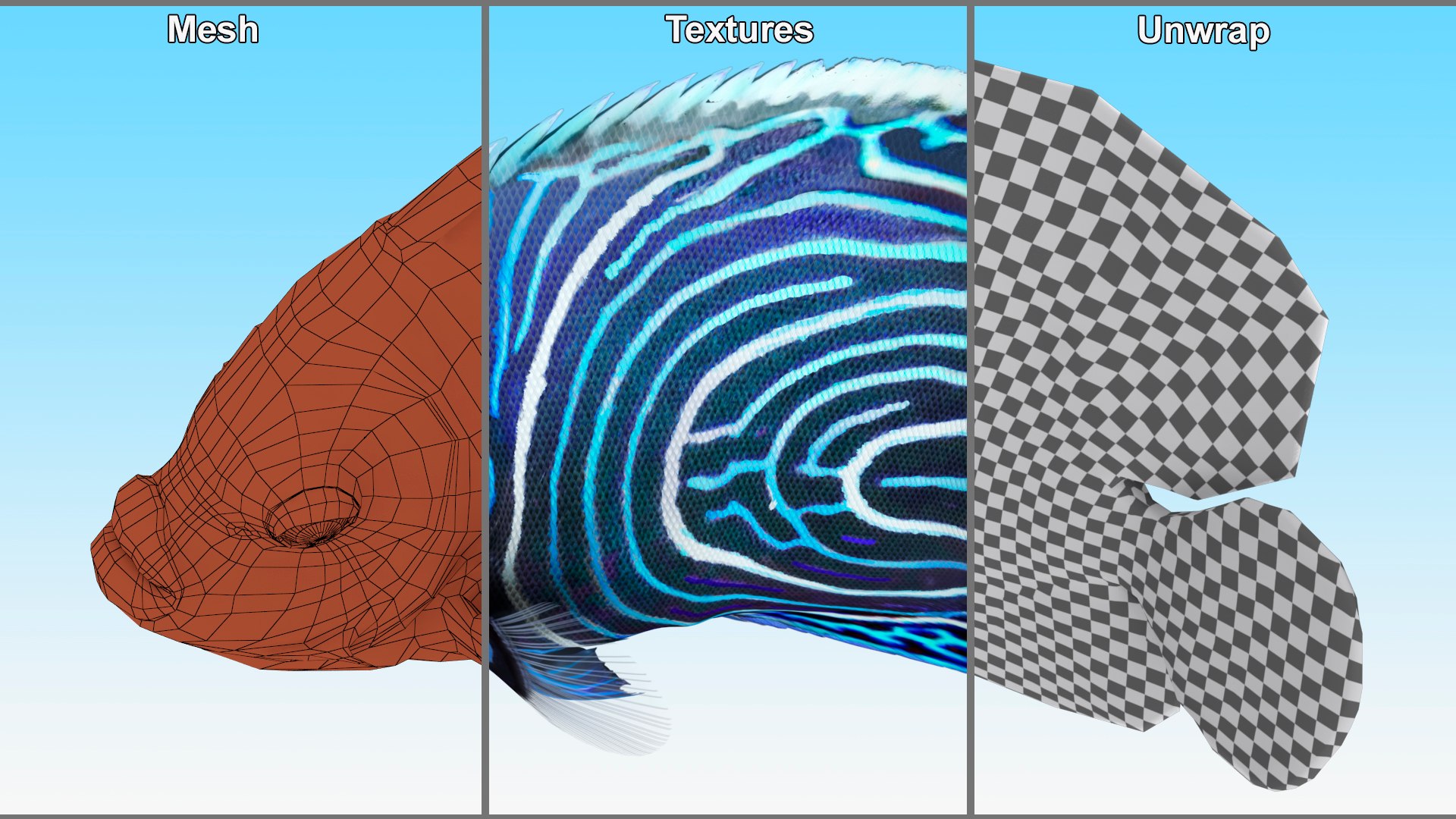 3D Pomacanthus Imperator Fish https://p.turbosquid.com/ts-thumb/ck/9Dfgde/I7/pomacanthusimperatorfishmb3dmodel017/jpg/1722509054/1920x1080/fit_q87/44f3347e5771ac4dabdb6ef3eecf355a37446bd8/pomacanthusimperatorfishmb3dmodel017.jpg