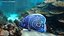 Pomacanthus Imperator Fish