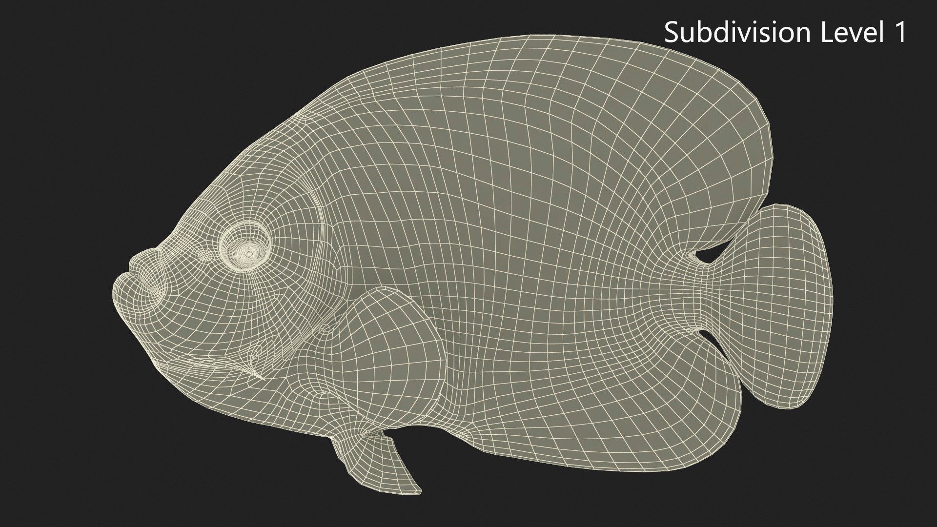 3D Pomacanthus Imperator Fish https://p.turbosquid.com/ts-thumb/ck/9Dfgde/gi/pomacanthusimperatorfishmb3dmodel019/jpg/1722509068/1920x1080/fit_q87/e73816cedba3f1a0996150bb58c8e196a908ae0b/pomacanthusimperatorfishmb3dmodel019.jpg