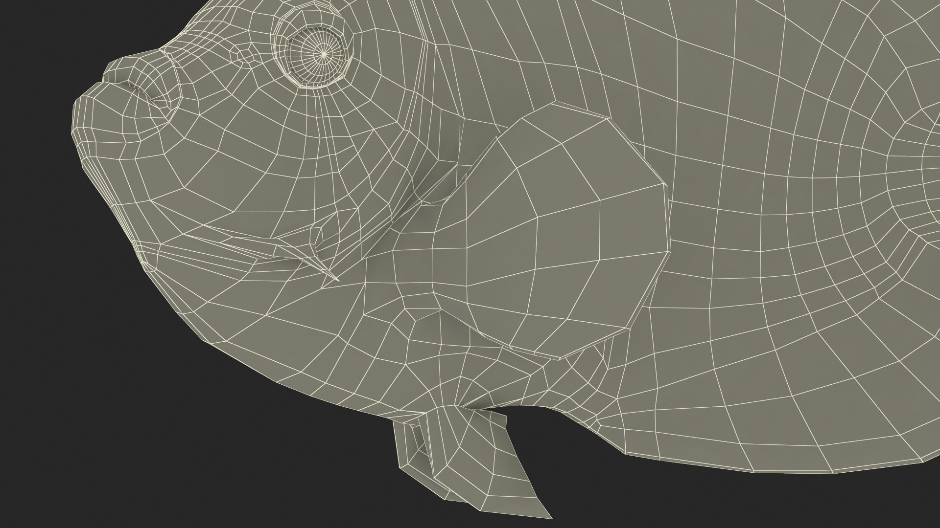 3D Pomacanthus Imperator Fish https://p.turbosquid.com/ts-thumb/ck/9Dfgde/jM/pomacanthusimperatorfishmb3dmodel031/jpg/1722509162/1920x1080/fit_q87/072f359e138b23d4ff4d1a64928156cf432da3d7/pomacanthusimperatorfishmb3dmodel031.jpg