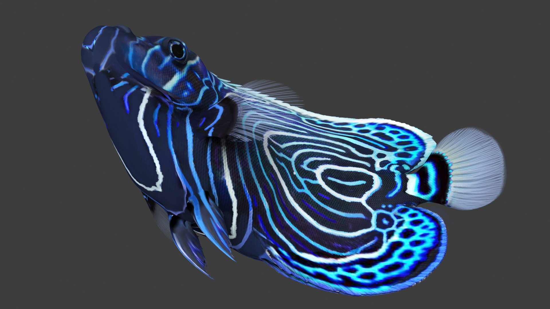 3D Pomacanthus Imperator Fish https://p.turbosquid.com/ts-thumb/ck/9Dfgde/sf/pomacanthusimperatorfishmb3dmodel013/jpg/1722509027/1920x1080/fit_q87/45ff1670419fb0ba6b1b3efad7791b2c2c3d4520/pomacanthusimperatorfishmb3dmodel013.jpg