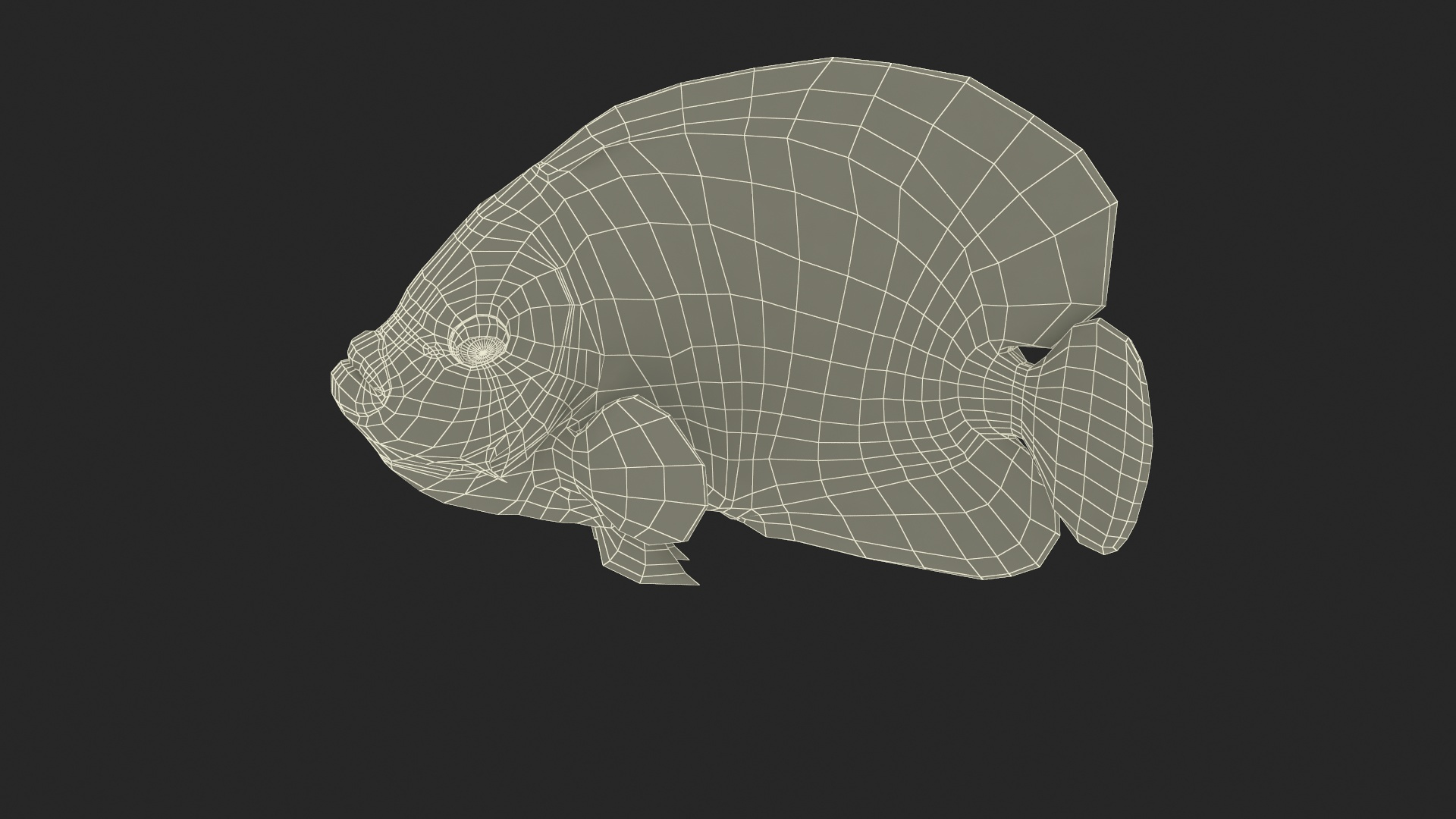 3D Pomacanthus Imperator Fish https://p.turbosquid.com/ts-thumb/ck/9Dfgde/t1/pomacanthus_imperator_fish_361/jpg/1722508835/1920x1080/turn_fit_q99/3be954b0095731dff44083e3bda49205c6182188/pomacanthus_imperator_fish_361-1.jpg