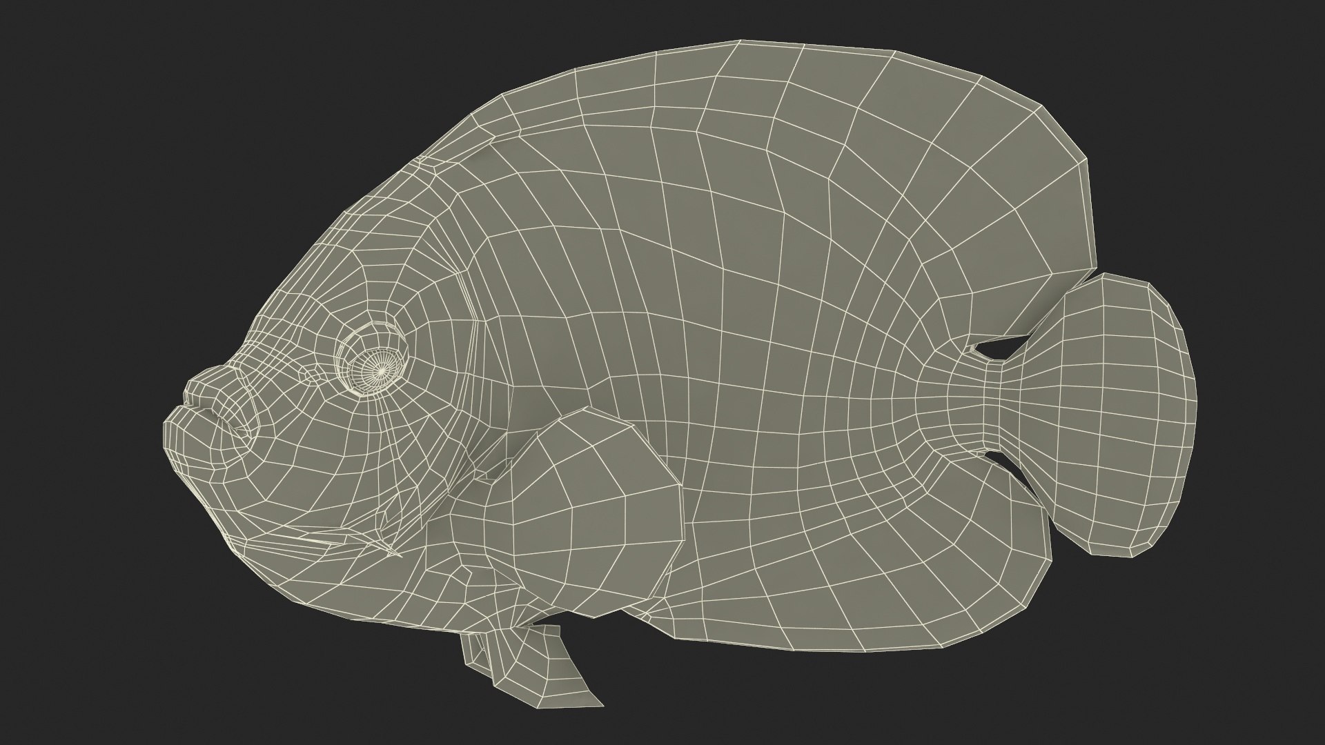3D Pomacanthus Imperator Fish https://p.turbosquid.com/ts-thumb/ck/9Dfgde/xW/pomacanthusimperatorfishmb3dmodel023/jpg/1722509105/1920x1080/fit_q87/de20bd0ff0e39f5ba1b446f364ac1e42858a6d30/pomacanthusimperatorfishmb3dmodel023.jpg