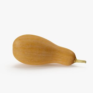 Pumpkin 02