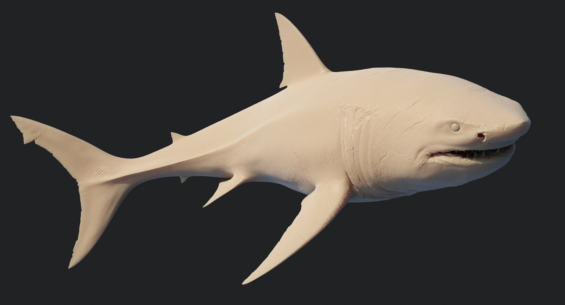 rigged animation model https://p.turbosquid.com/ts-thumb/ck/D9MZ4i/5n32wo7x/sharkwhite_0119/jpg/1547589576/1920x1080/fit_q87/f130c6ca3a574d0aa158b1fb6a4c9b4d5fff7777/sharkwhite_0119.jpg