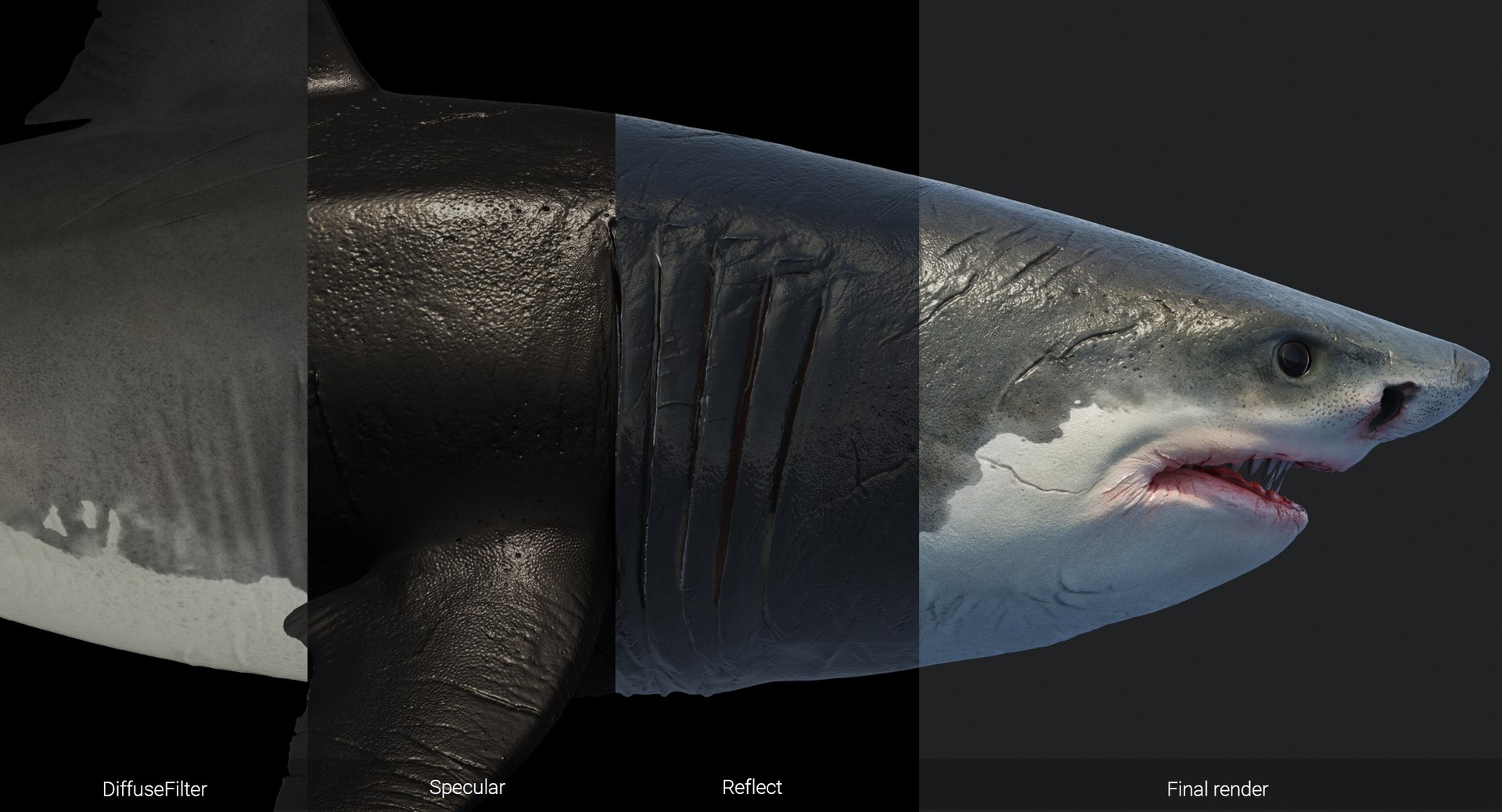 rigged animation model https://p.turbosquid.com/ts-thumb/ck/D9MZ4i/903VvnIt/sharkwhite_passes/jpg/1547589951/1920x1080/fit_q87/7de34306320d7f1294340b806f4d0f16062a22ff/sharkwhite_passes.jpg