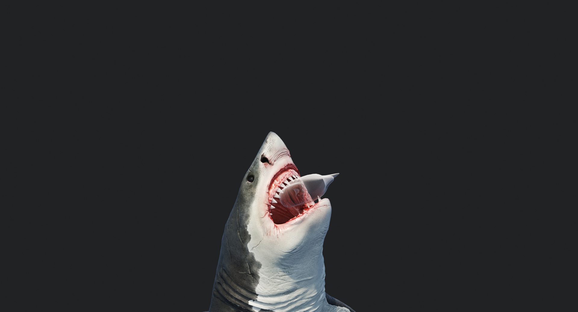 rigged animation model https://p.turbosquid.com/ts-thumb/ck/D9MZ4i/CAkQHuEE/camera/jpg/1547588966/1920x1080/turn_fit_q99/72f19db6e92aeae3ad46231811706566cbd02c41/camera-1.jpg