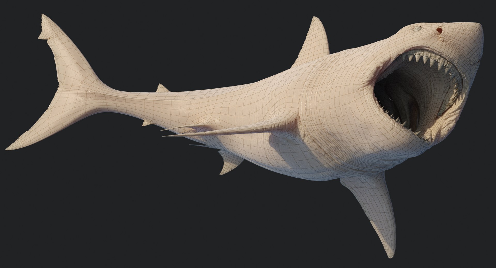 rigged animation model https://p.turbosquid.com/ts-thumb/ck/D9MZ4i/DmLzQLtL/sharkwhite_0109/jpg/1547589253/1920x1080/fit_q87/c63852bc985b4e44d5427578398aac54e509a71b/sharkwhite_0109.jpg
