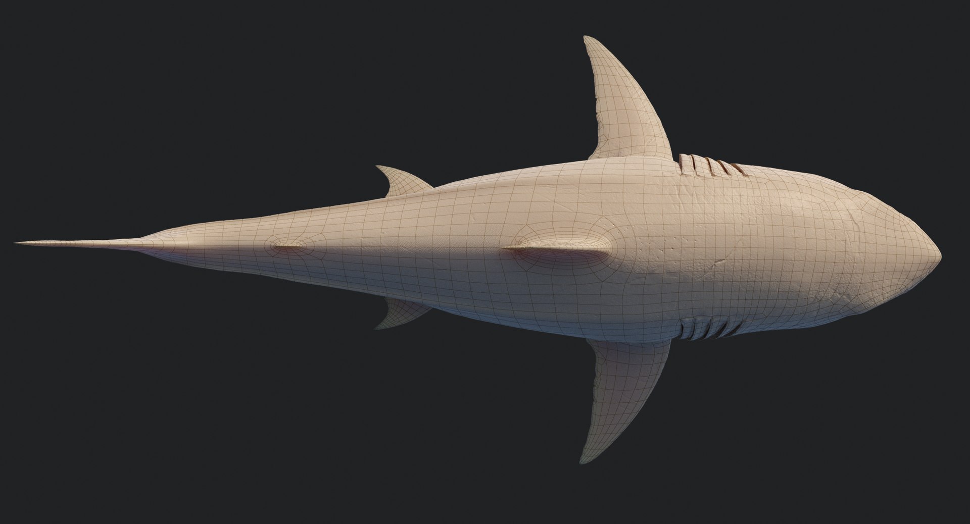rigged animation model https://p.turbosquid.com/ts-thumb/ck/D9MZ4i/GKAgavSx/sharkwhite_0110/jpg/1547589253/1920x1080/fit_q87/84c516ef7214e7542ec812f08bf53fa5e9bfe19b/sharkwhite_0110.jpg