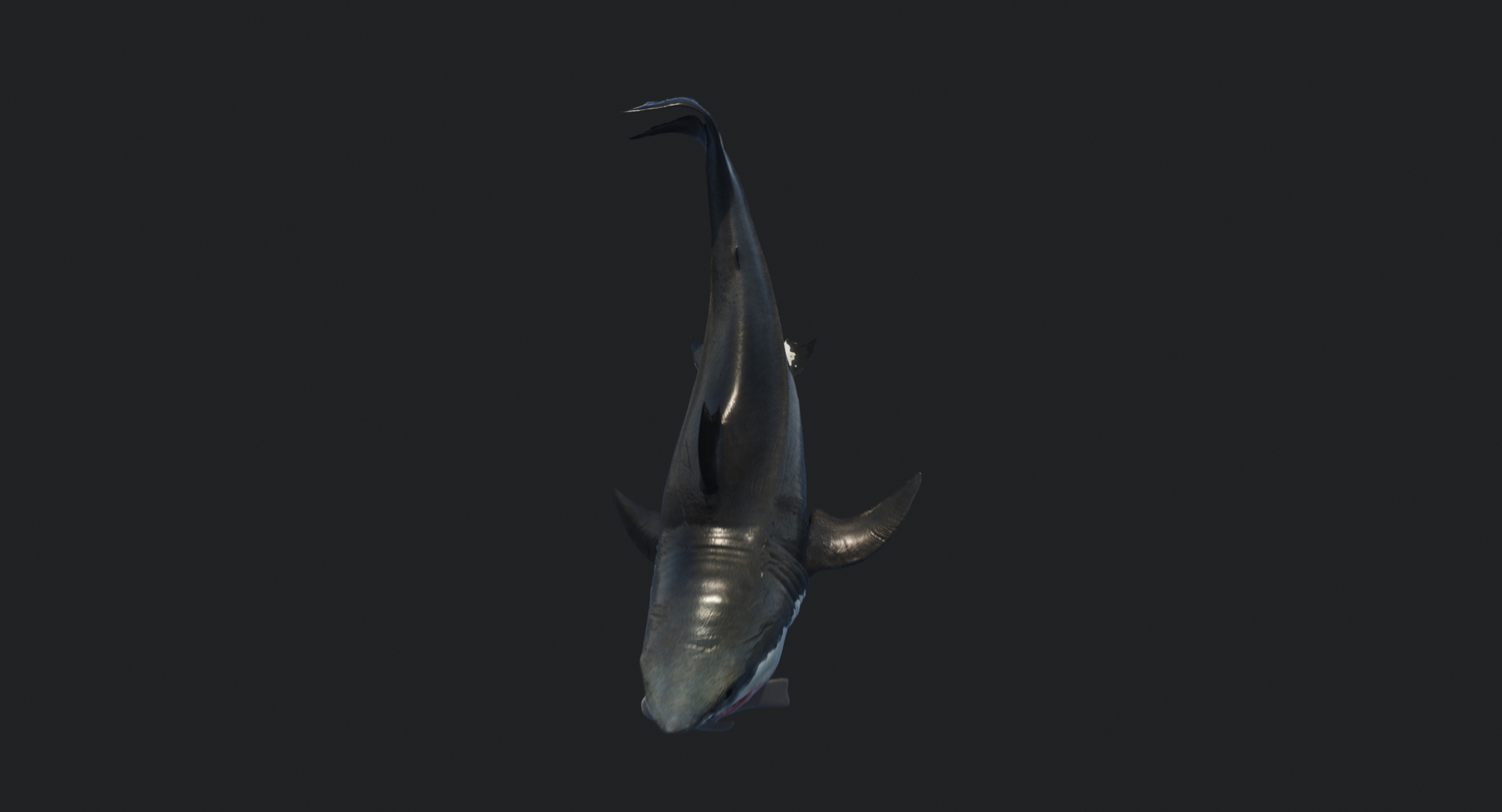 rigged animation model https://p.turbosquid.com/ts-thumb/ck/D9MZ4i/I3XEjlcu/attack/jpg/1547588766/1920x1080/turn_fit_q99/dcbba0fc08700564a0cdbab75408de2deedf36b1/attack-1.jpg