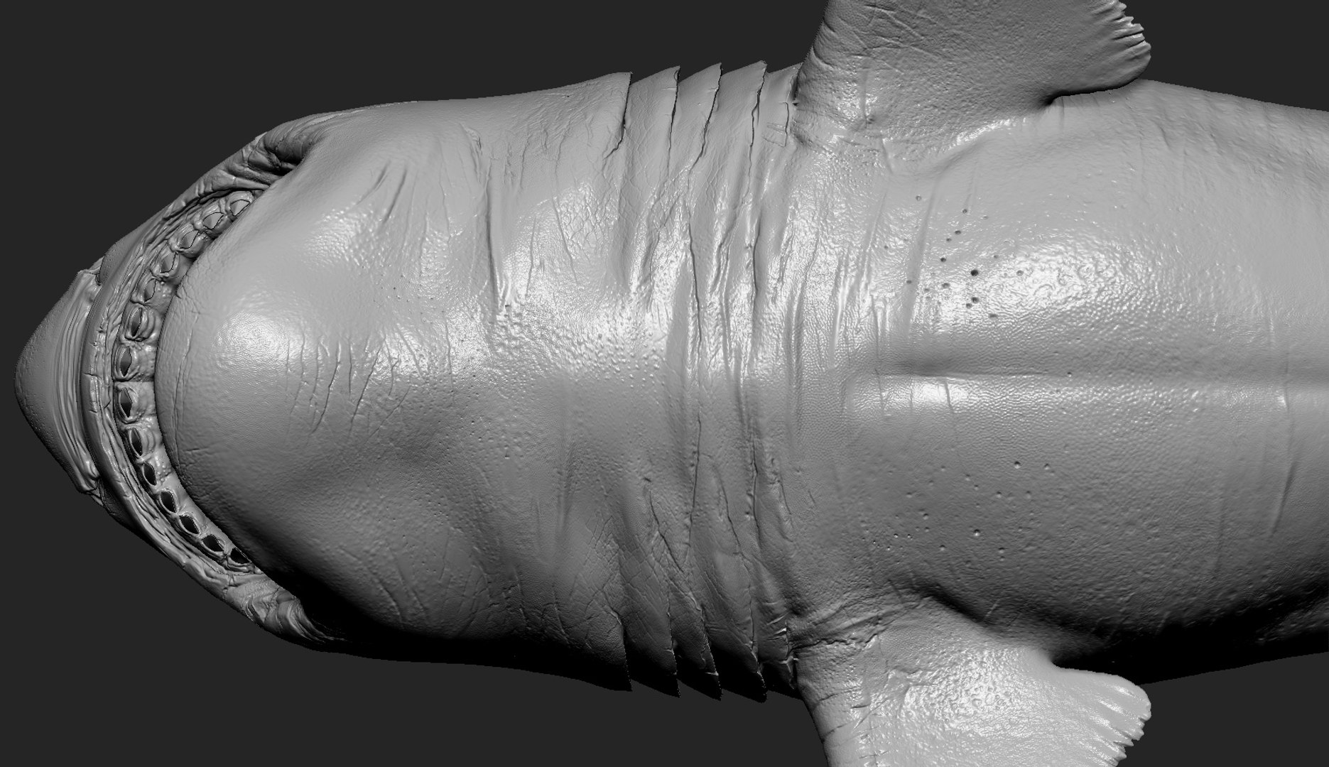 rigged animation model https://p.turbosquid.com/ts-thumb/ck/D9MZ4i/LJp832Cm/sharkwhite_0006_layer2/jpg/1548976100/1920x1080/fit_q87/4537e4068830fffaebf1ad1a72b206c23b9248f8/sharkwhite_0006_layer2.jpg
