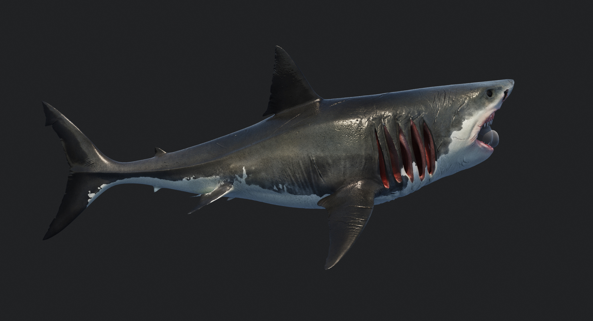 rigged animation model https://p.turbosquid.com/ts-thumb/ck/D9MZ4i/PhfUqL9y/attack/jpg/1547588612/1920x1080/turn_fit_q99/9ed94ecfc1ebcc5127d642afba8830cb4cb5566a/attack-1.jpg