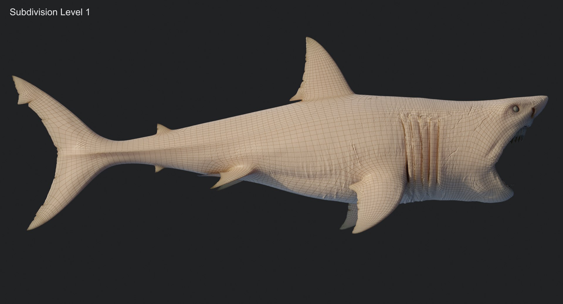 rigged animation model https://p.turbosquid.com/ts-thumb/ck/D9MZ4i/UTHrtC2e/sharkwhite_0106/jpg/1547589253/1920x1080/fit_q87/9eba64084baff4ee5bdb146c3e0874de896fd582/sharkwhite_0106.jpg