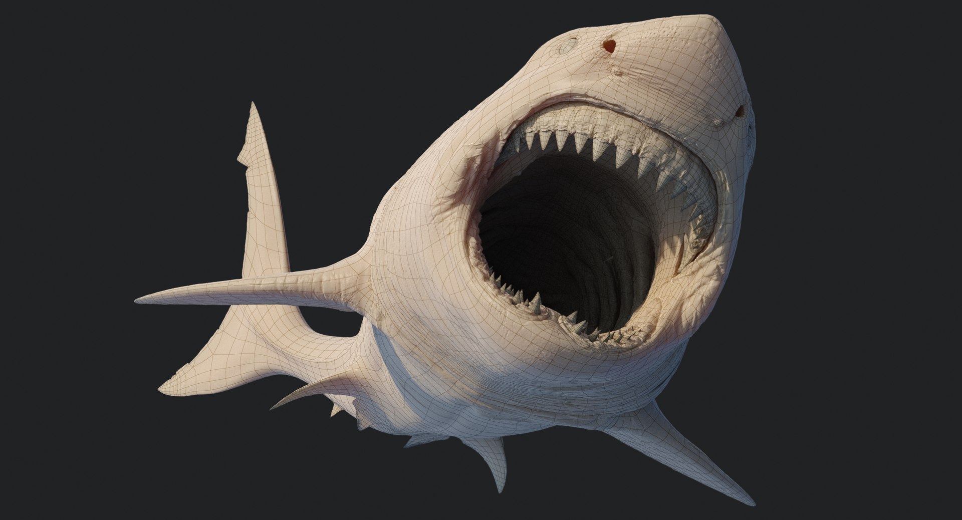 rigged animation model https://p.turbosquid.com/ts-thumb/ck/D9MZ4i/azd6ZrSS/sharkwhite_0107/jpg/1547589253/1920x1080/fit_q87/df39a40570d3127c0bdcf7bab182ebdbac95c19d/sharkwhite_0107.jpg