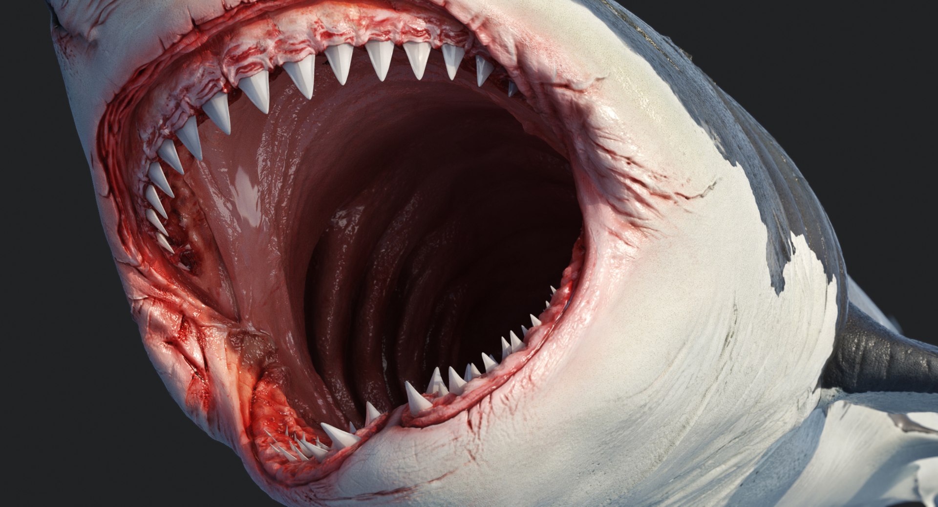 rigged animation model https://p.turbosquid.com/ts-thumb/ck/D9MZ4i/fbEodf5F/sharkwhite_0098/jpg/1547588720/1920x1080/fit_q87/4658426488b4fbb71b8255f71707e91bb8fc4ac2/sharkwhite_0098.jpg