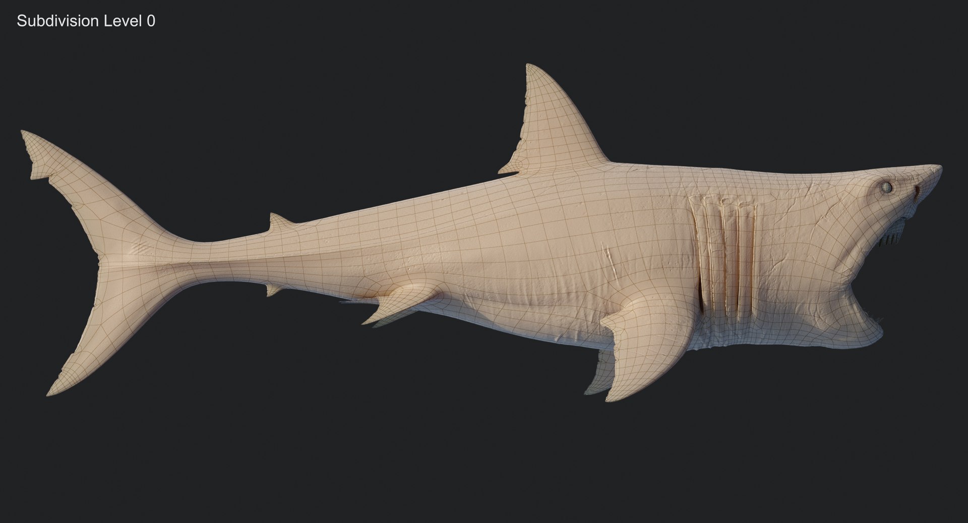 rigged animation model https://p.turbosquid.com/ts-thumb/ck/D9MZ4i/gd66QIh6/sharkwhite_0105/jpg/1547589235/1920x1080/fit_q87/71f3a22788c245fcd9029f5d017475acb267cd11/sharkwhite_0105.jpg