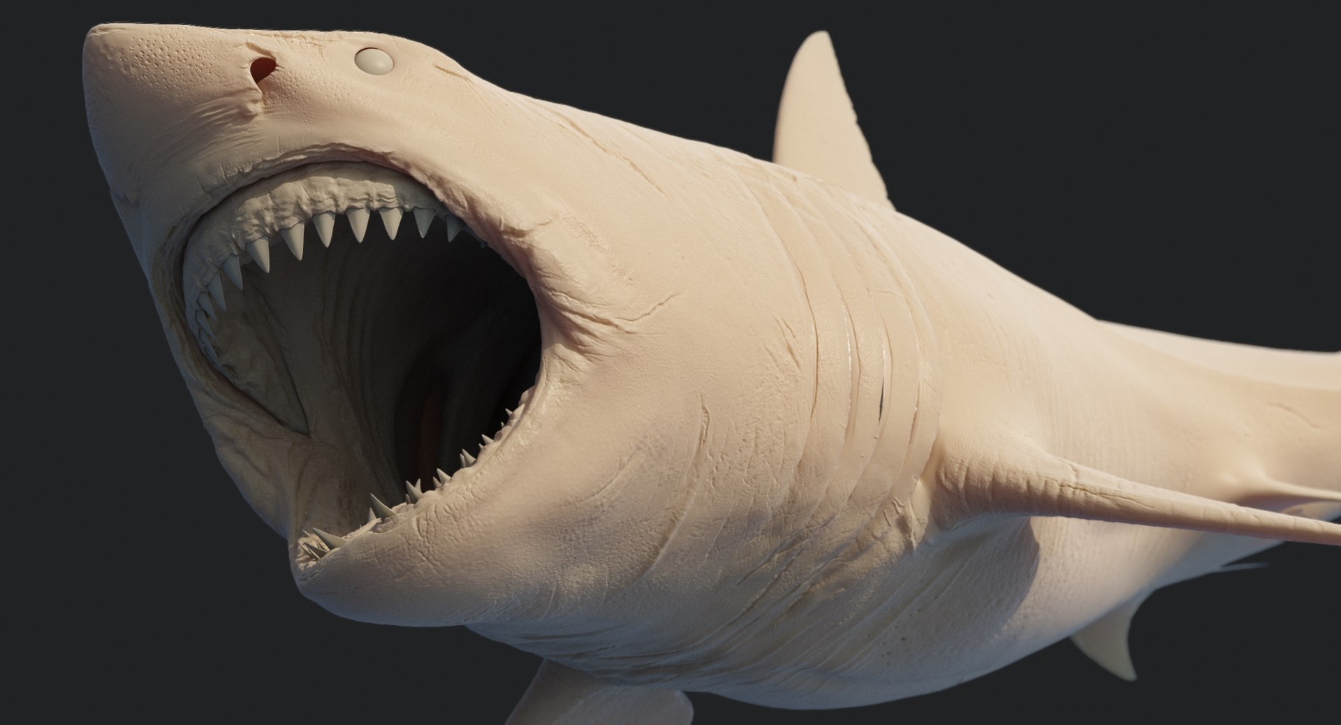 rigged animation model https://p.turbosquid.com/ts-thumb/ck/D9MZ4i/iOza41bs/sharkwhite_0129/jpg/1547589576/1920x1080/fit_q87/a82ca4e0831dc7ed360a16090c9f97e49104ec07/sharkwhite_0129.jpg