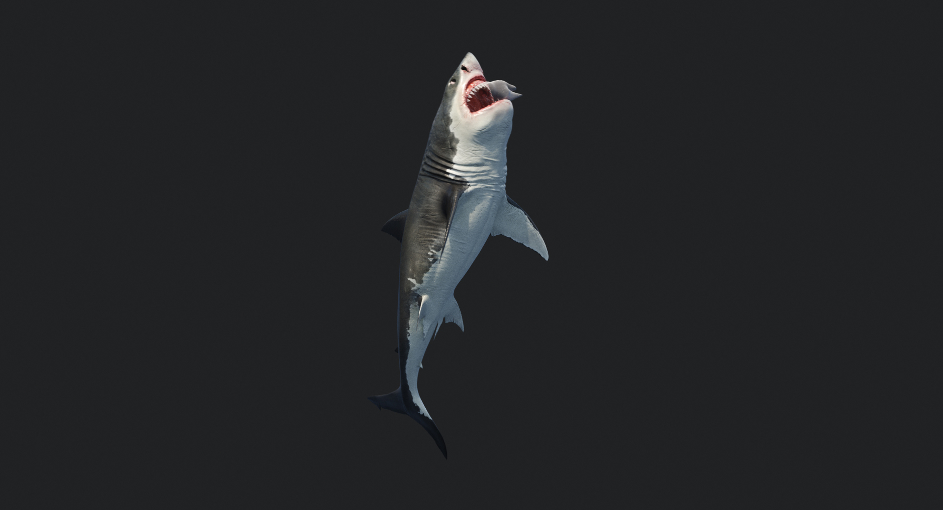 rigged animation model https://p.turbosquid.com/ts-thumb/ck/D9MZ4i/ifMhcTRa/attack/jpg/1547588719/1920x1080/turn_fit_q99/16dff65f55afb2be4f06477747af06ff5182ee1e/attack-1.jpg