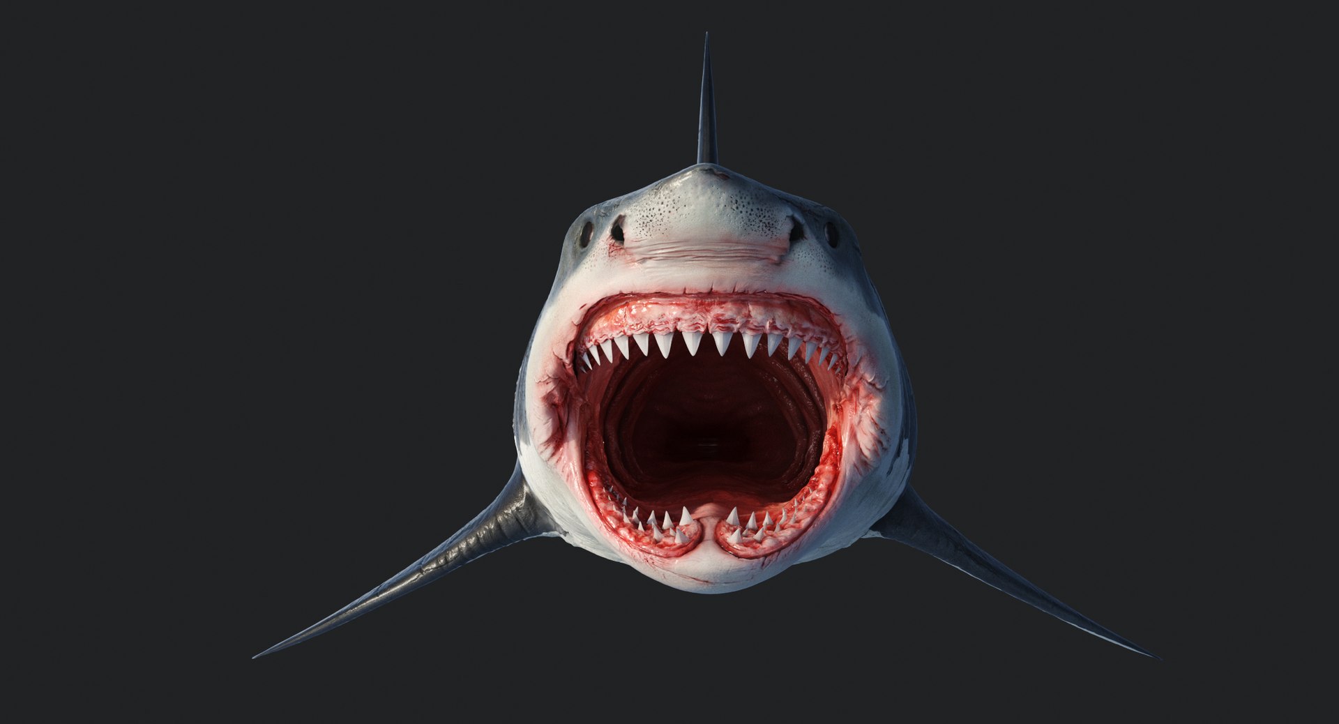 rigged animation model https://p.turbosquid.com/ts-thumb/ck/D9MZ4i/jPz9W3pz/sharkwhite_0085/jpg/1547588720/1920x1080/fit_q87/67c7b3ae179b63e5f751f82320bd1a8ee8d8a9fe/sharkwhite_0085.jpg