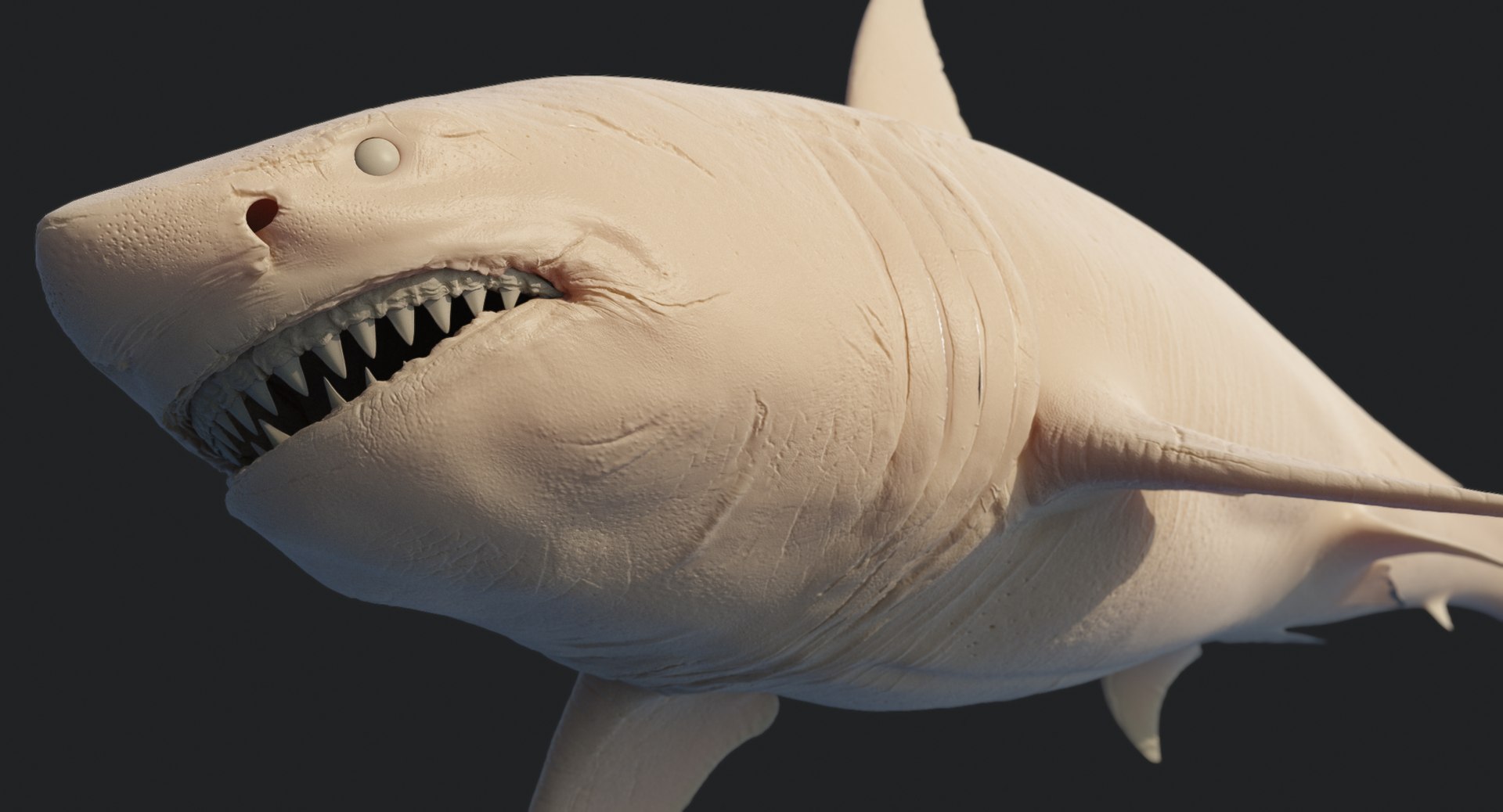 rigged animation model https://p.turbosquid.com/ts-thumb/ck/D9MZ4i/kh8jSfWg/sharkwhite_0130/jpg/1547589576/1920x1080/fit_q87/2fdac30da5b6238cf352ca941c52f08930752b1f/sharkwhite_0130.jpg