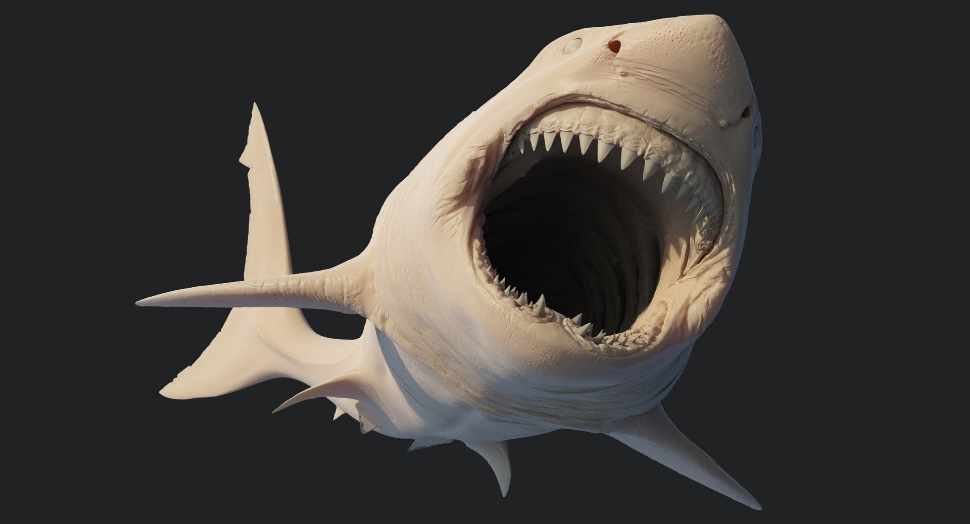 rigged animation model https://p.turbosquid.com/ts-thumb/ck/D9MZ4i/ppzLUL8T/sharkwhite_0113/jpg/1547589576/1920x1080/fit_q87/505ba3f0838b7b4d874c4cbda5ac872b20b24dbb/sharkwhite_0113.jpg