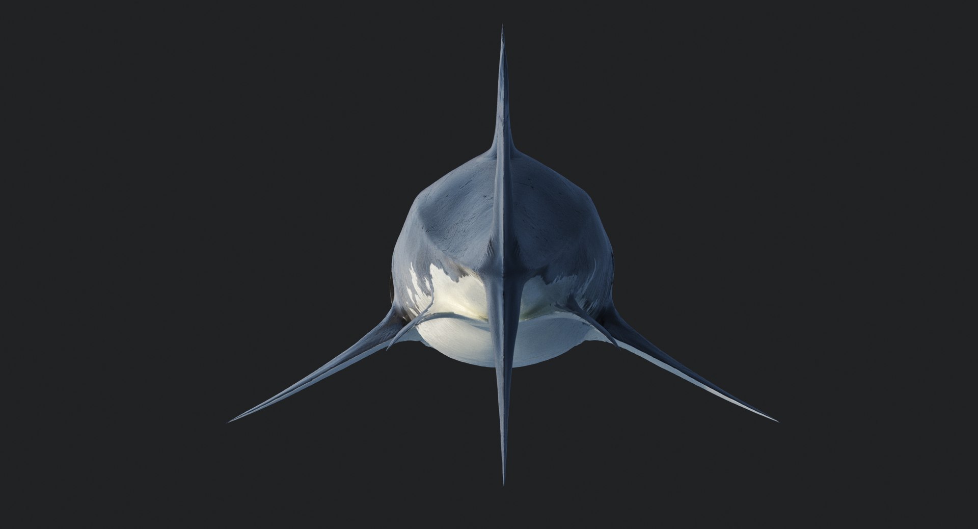 rigged animation model https://p.turbosquid.com/ts-thumb/ck/D9MZ4i/t9qgUj2u/sharkwhite_0086/jpg/1547588720/1920x1080/fit_q87/3c0730d4a2771047c6f90f9ff9d1b0596d28325c/sharkwhite_0086.jpg
