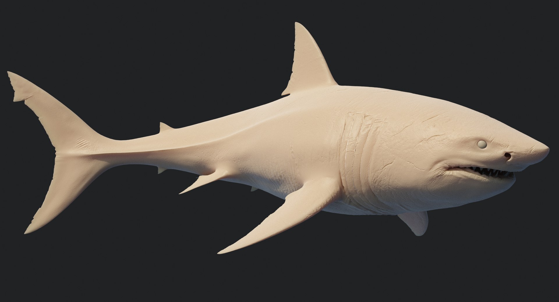 rigged animation model https://p.turbosquid.com/ts-thumb/ck/D9MZ4i/uVmJMTiI/sharkwhite_0116/jpg/1547589576/1920x1080/fit_q87/43282aec657711f506a35eceaa10b0baa9929797/sharkwhite_0116.jpg
