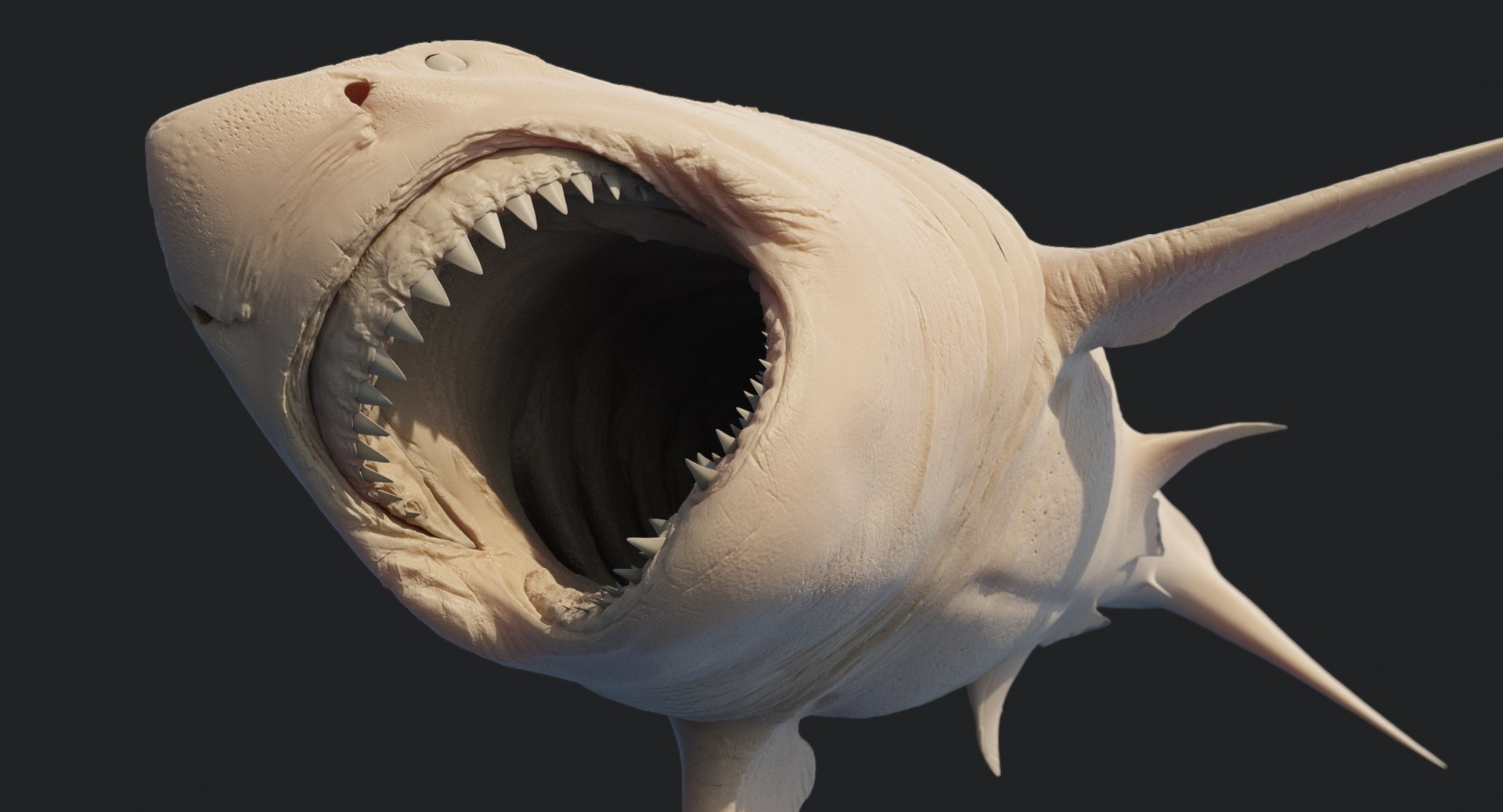 rigged animation model https://p.turbosquid.com/ts-thumb/ck/D9MZ4i/vhZR65wQ/sharkwhite_0136/jpg/1547589577/1920x1080/fit_q87/24b2d8a9ddf6bda59544feba3069be4c3a719934/sharkwhite_0136.jpg