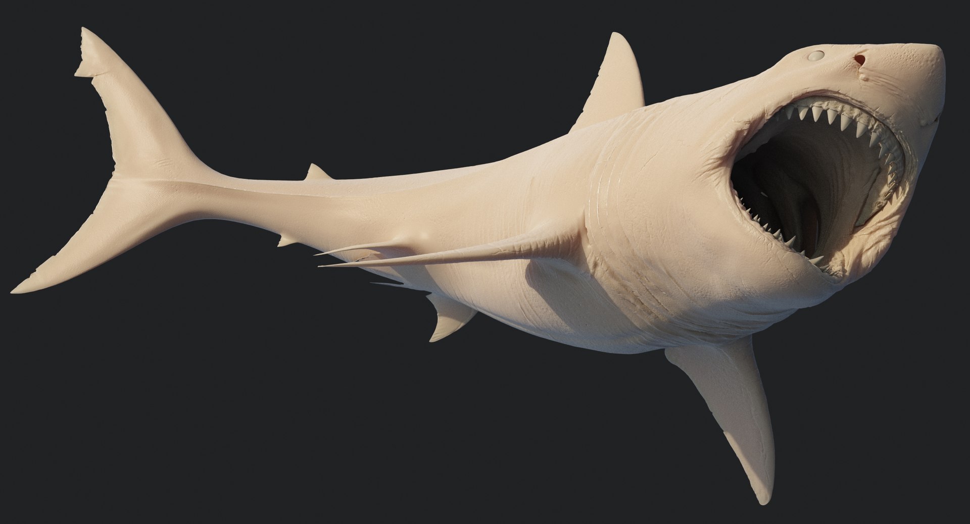 rigged animation model https://p.turbosquid.com/ts-thumb/ck/D9MZ4i/zBlRAApO/sharkwhite_0118/jpg/1547589576/1920x1080/fit_q87/004caf3db6417f72a537034581737ff3269f8c47/sharkwhite_0118.jpg