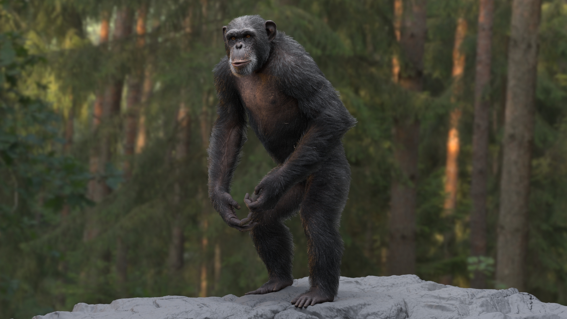 Monkeys RIGGED collection 3D model https://p.turbosquid.com/ts-thumb/ck/I0ZBEp/1n/chimpanzee/jpg/1653854629/1920x1080/turn_fit_q99/08e12947c5da5e4e13c879331bdef7b4b5403852/chimpanzee-1.jpg