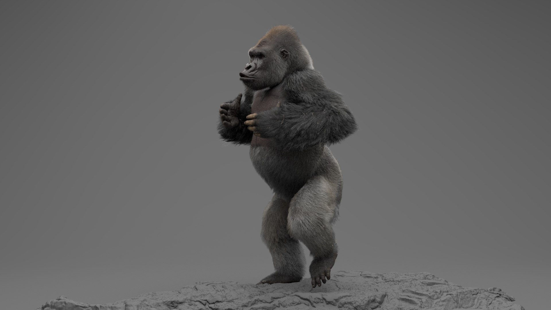 Monkeys RIGGED collection 3D model - TurboSquid 2048932