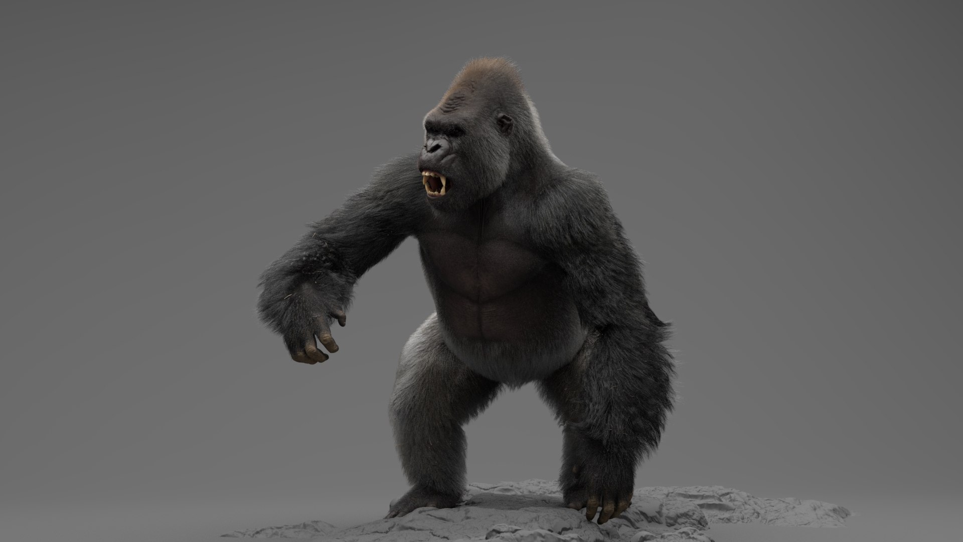 Monkeys RIGGED collection 3D model https://p.turbosquid.com/ts-thumb/ck/I0ZBEp/XS/8/jpg/1680161106/1920x1080/fit_q87/cf8880266549a3f8049c91ca16f230bd068125de/8.jpg