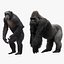 Monkeys RIGGED collection