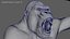 Monkeys RIGGED collection