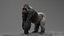 Monkeys RIGGED collection